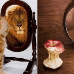 Transform your negative thoughts into positive ones! du négative au positive - from negative to positive thought