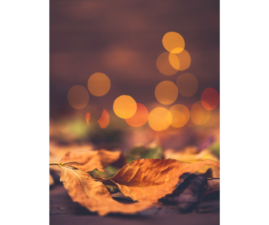 Se remonter le moral en novembre