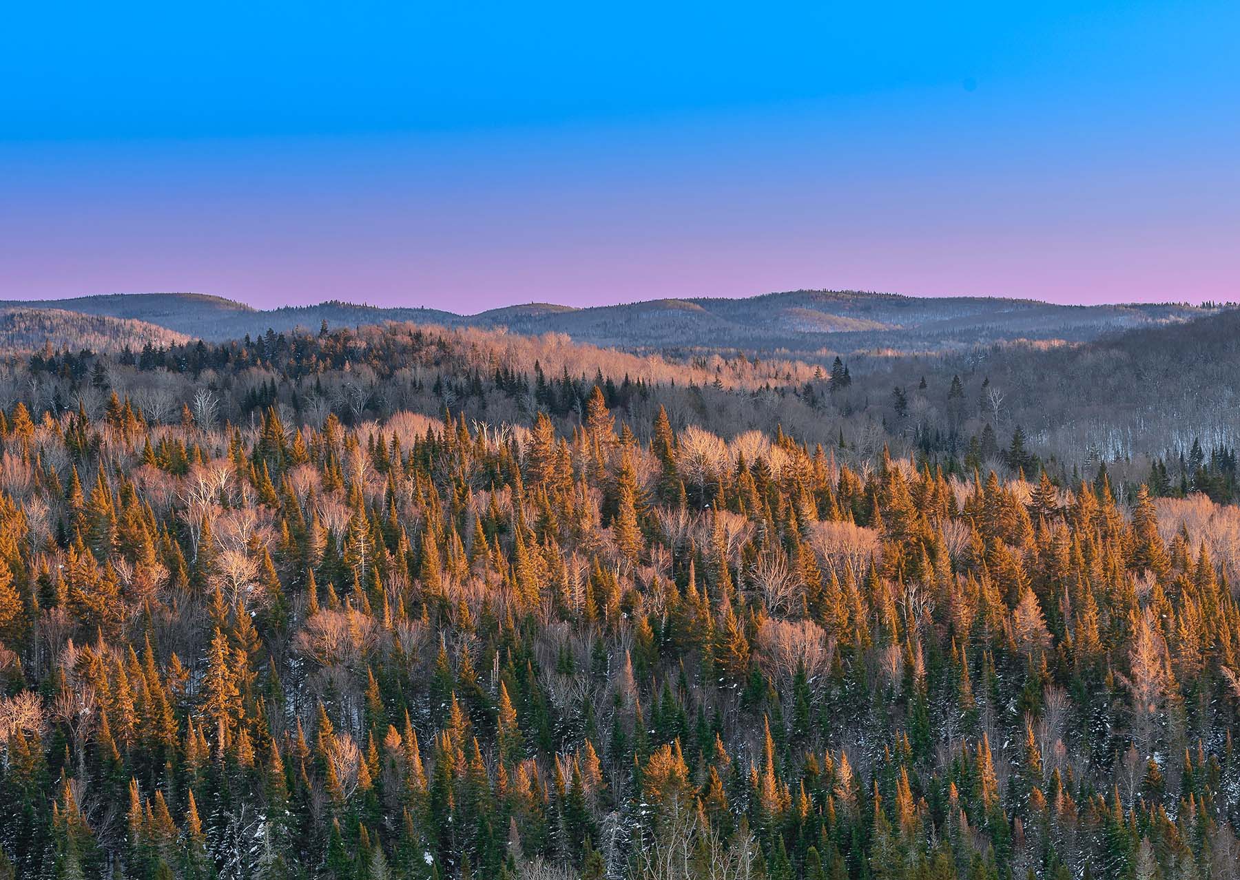 18Kpx-meng-ji-TisPlxbFvxM-unsplash-Laurentides-REV