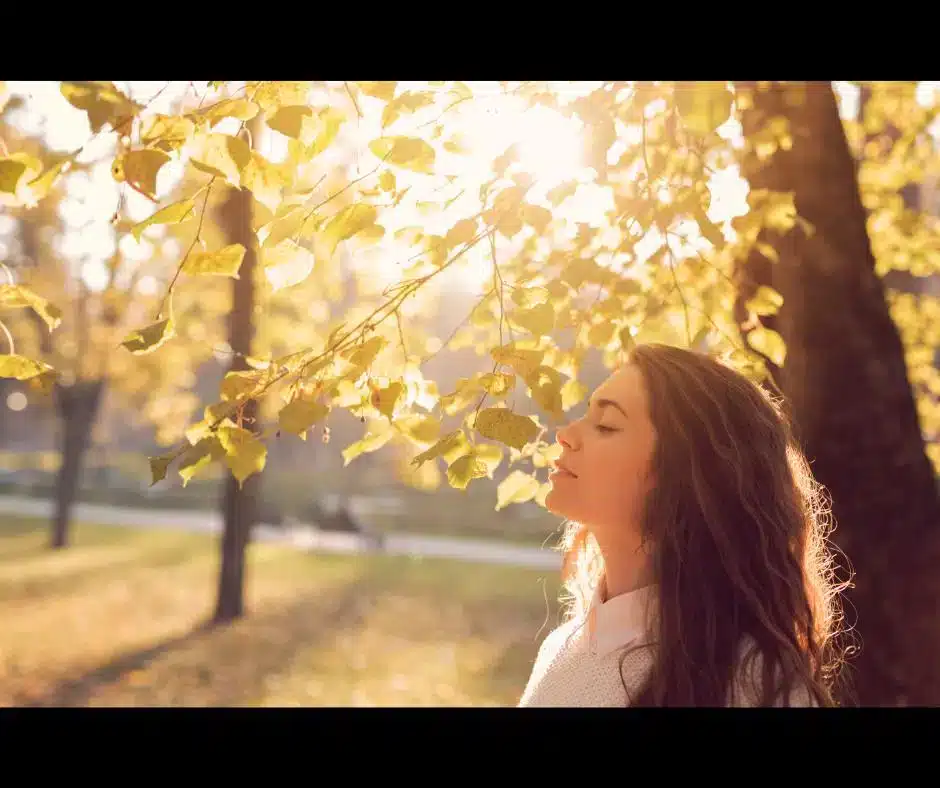 A little mindfulness meditation as a summer resource: LISTENING