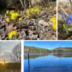 Spring is HERE, make a breakthrough with my low-budget package offer Springtime in the Laurentians 2024