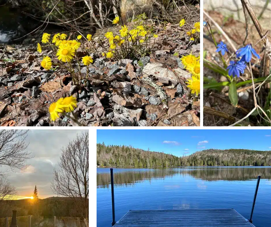 Spring is HERE, make a breakthrough with my low-budget package offer