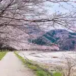 2025 New Year - New Possibilities exercise new paths