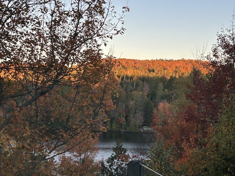 Newsletter October 2025